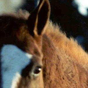 Meet your Posher, Jeanne